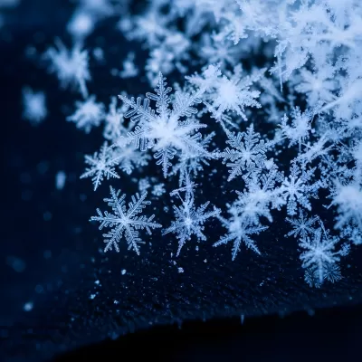 Imagen PNG para descargar